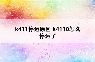 k411停运原因 k4110怎么停运了